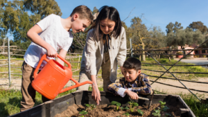 The Blue Bells School | Personalised Learning with The Blue Bells Schools