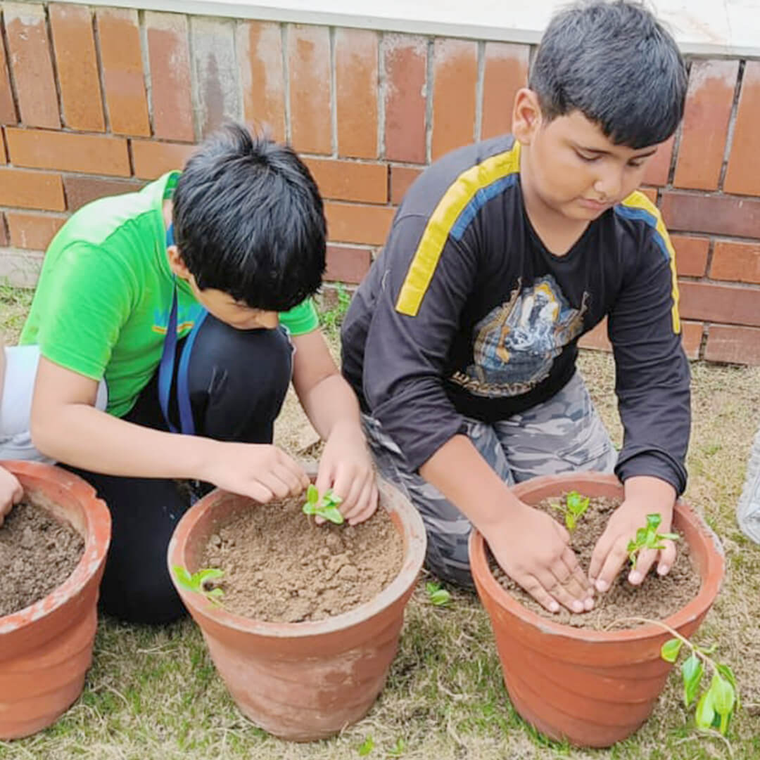 The Blue Bells School | Photos