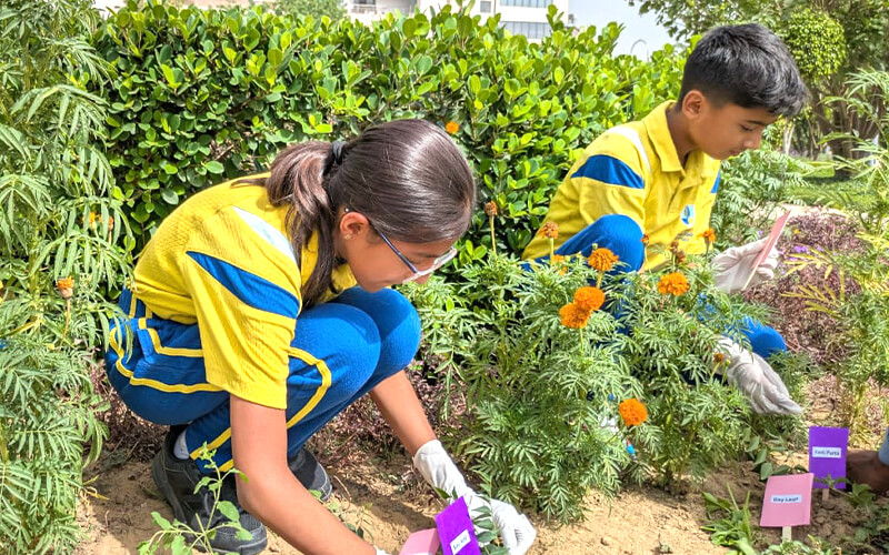 The Blue Bells School | Photos