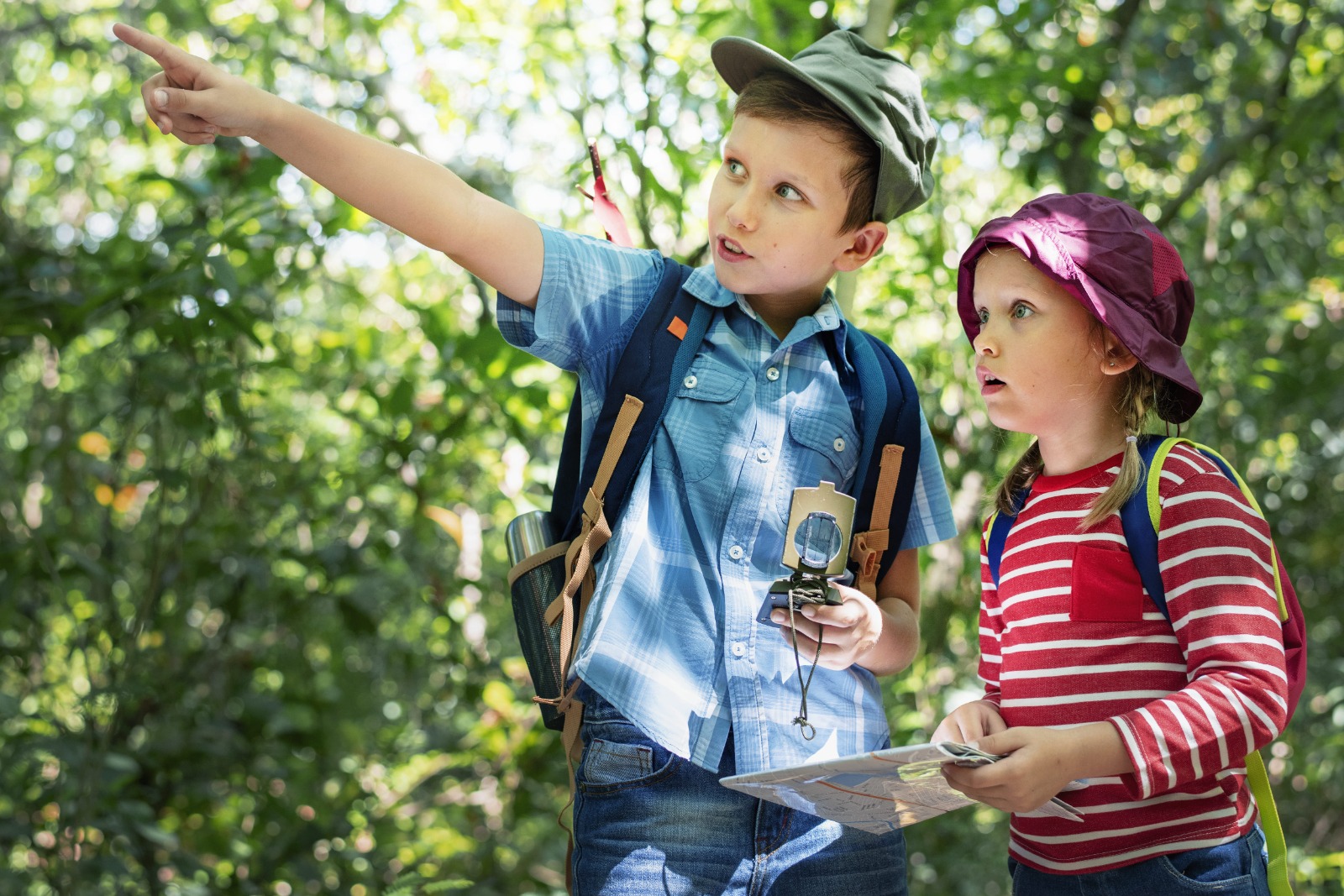 The Blue Bells School | Why Field Trips Are More Than Just Fun Days The Blue Bells School | Why Field Trips Are More Than Just Fun Days