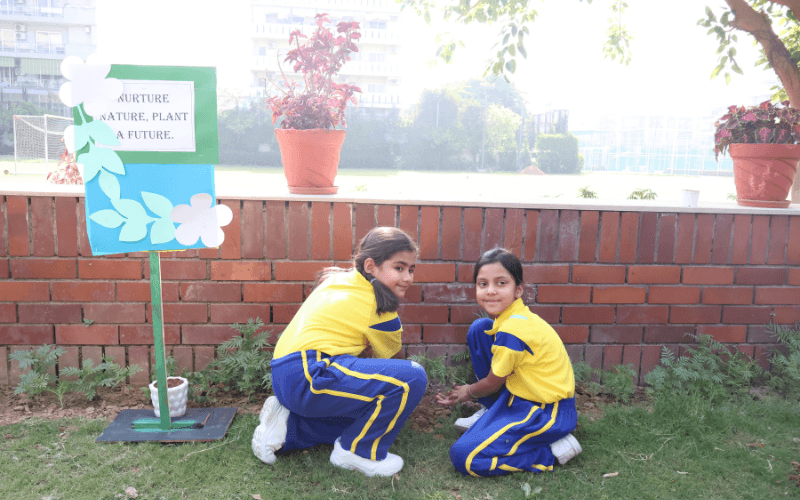 The Blue Bells School | Photos