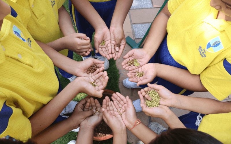 The Blue Bells School | Photos