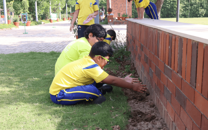 The Blue Bells School | Photos